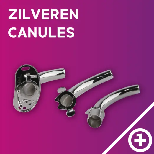 Zilveren canules